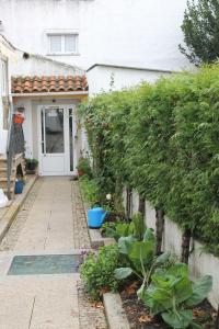 um jardim em frente a uma casa com plantas em Alojamento Local Santa Cruz em Miranda do Douro