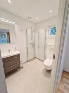 a bathroom with a toilet and a sink and a shower at Ropeid Villa Fjordferie in Ropeid