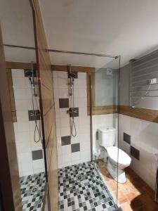 een badkamer met een toilet en een glazen douchecabine bij Four à pain in Torcé-en-Charnie
