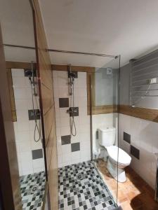 a bathroom with a toilet and a glass shower stall at Four à pain in Torcé-en-Charnie