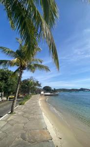 una palmera sentada junto a una playa con el océano en Pousada Sossego de Búzios, en Búzios