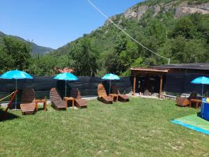eine Gruppe von Stühlen und Sonnenschirmen im Gras in der Unterkunft Guest House Lazar Raykov in Ribarica