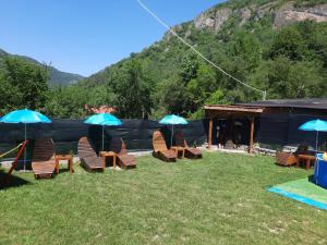 un groupe de chaises et de parasols dans l'herbe dans l'établissement Guest House Lazar Raykov, à Ribarica