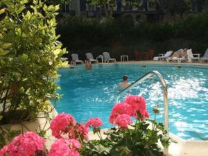 a man swimming in a swimming pool with pink flowers at Hôtel Aletti Palace in Vichy