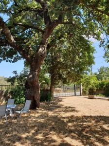 two chairs sitting under a tree in a park at Vila Pasiphae in Arménoi