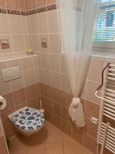 a bathroom with a shower with a toilet and a tub at Apartmán Meluzína in Staré Hamry