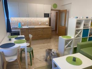 una cucina con un cane in piedi nel mezzo di una stanza di Apartmán Meluzína a Staré Hamry