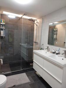 La salle de bains est pourvue d'une douche, d'un lavabo et de toilettes. dans l'établissement Paris beaugrenelle: charmante résidence, à Paris