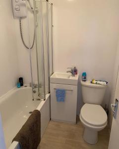 a bathroom with a shower and a toilet and a sink at Kingsdown Chalet in Deal