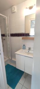 a bathroom with a sink and a shower and a mirror at Nid de verdure à 15 minutes centre et plage in Le Havre
