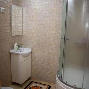 a bathroom with a shower and a sink and a toilet at Cabana Ancuța in Vartop