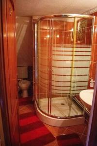 a bathroom with a shower and a sink and a toilet at Cabana Ancuța in Vartop