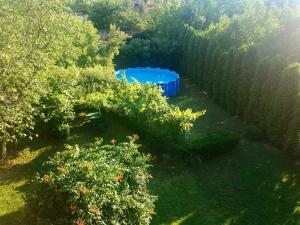 an overhead view of a garden with trees and a blue tub at Guest House Dimitrije in Niška Banja
