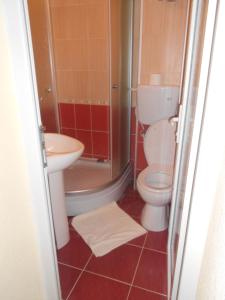 een badkamer met een toilet, een wastafel en een douche bij Villa Iva in Skopje