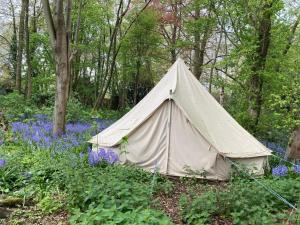 een bruine tent midden in een bloemenveld bij Delightful 4BD Home full of Flair Edenbridge Kent in Edenbridge