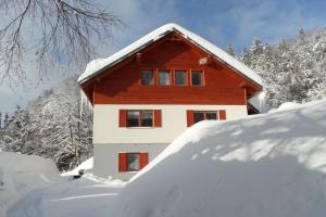 een huis bedekt met sneeuw met bomen op de achtergrond bij Vila Kamila in Janske Lazne