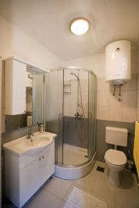a bathroom with a shower and a toilet and a sink at Villa Libana in Povlja