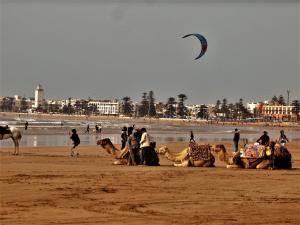 een groep mensen met kamelen op een strand bij Youss Appartement in Essaouira