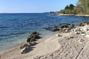 Fotografia z galérie ubytovania Apartment Zadar - Diklo 5794a v destinácii Zadar