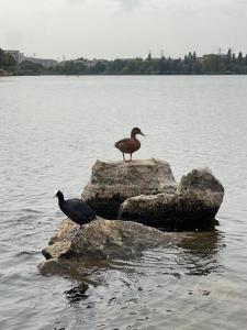 Príroda v okolí privátu