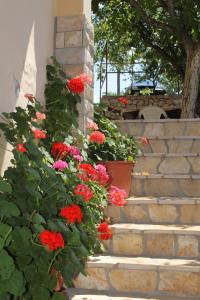 Fotografia z galérie ubytovania Apartments by the sea Ladjin Porat, Paklenica - 6631 v destinácii Starigrad-Paklenica