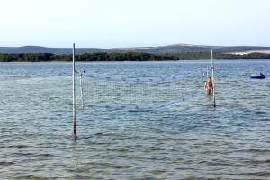 Gallery image of Apartments by the sea Kraj, Pasman - 331 in Tkon