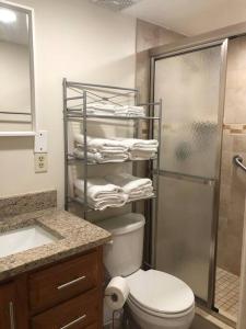 uma casa de banho com um chuveiro, um WC e um lavatório. em Delightful 3 Bdrm Home, Mins to Clearwater Beach em Clearwater