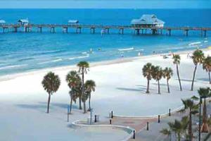 a view of a beach with palm trees and a pier at Delightful 3 Bdrm Home, Mins to Clearwater Beach in Clearwater