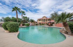 - une piscine en face d'une maison avec des palmiers dans l'établissement Westgate Painted Mountain Golf Resort, à Mesa