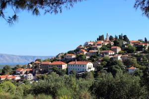 a town on top of a hill with houses at Apartments with a parking space Vrisnik, Hvar - 4051 in Jelsa