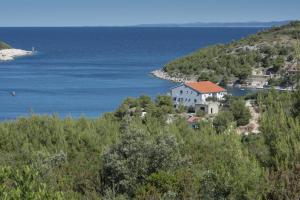 a house on a hill next to the ocean at Seaside house with a swimming pool Cove Pribinja, Hvar - 15324 in Hvar