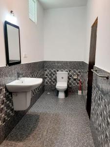 ein Badezimmer mit einem Waschbecken, einem WC und einem Spiegel in der Unterkunft Hotel krish in Kalkudah