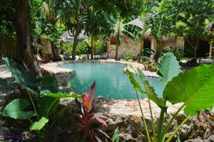 a small pool in the middle of a garden at Aldea Che-Eek , con acceso a club de playa privado y desayuno incluido in Bacalar