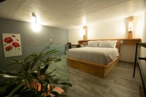 um quarto com uma cama e um vaso de plantas em El Jardín de la Abuela em Querétaro