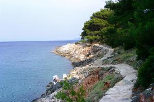 Fotografia z galérie ubytovania Apartments by the sea Mudri Dolac, Hvar - 4026 v destinácii Vrboska