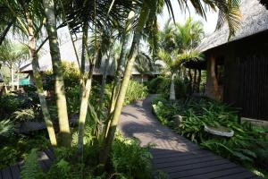 un camino a través de un jardín con palmeras en Lodge Afrique en St Lucia