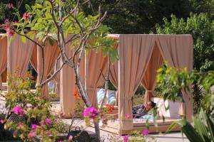 Kardia Resort Gili Trawangan A Pramana Experience外面的花园