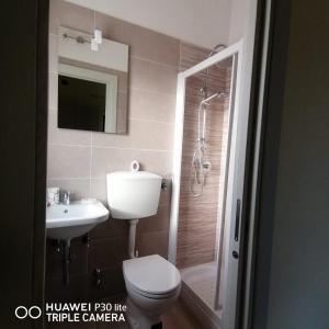 Laino Borgo的住宿－Il casale dell'artista，浴室配有卫生间、盥洗盆和淋浴。