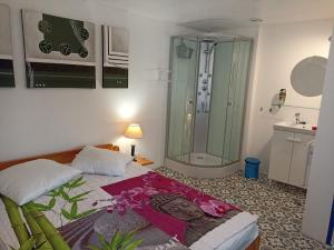 - une chambre avec une douche et un lit dans l'établissement Le Roi des chats, gîte proche de Beauval et des châteaux, à Mareuil-sur-Cher