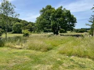 ein Grasfeld mit einem Baum im Hintergrund in der Unterkunft Stylish bolthole in the heart of the Meon Valley in East Meon