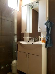 a bathroom with a sink and a shower at Studio apartment Under the pine in Milna