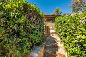 A garden outside Casa Vacanza Il Bouganville