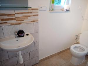 un bagno con lavandino e WC di NA ČERVENE LOUCE relax-LIBA 5 a Libá