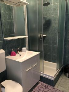 La salle de bains est pourvue d'une douche, d'un lavabo et de toilettes. dans l'établissement Apartment Kozarica 4950b, à Kozarica