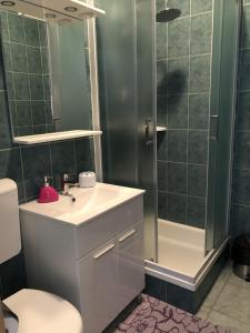 Koupelna v ubytování Apartment Kozarica 4950b