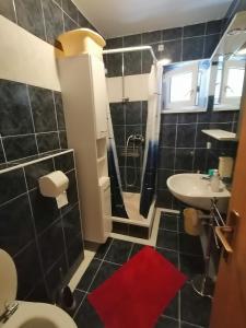 a bathroom with a shower and a toilet and a sink at Apartment Lopar 5019a in Lopar