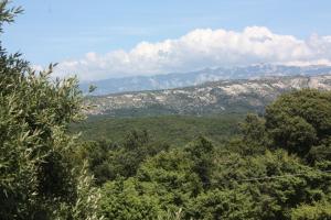 Príroda v okolí apartmánu