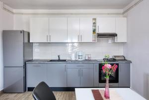 Virtuvė arba virtuvėlė apgyvendinimo įstaigoje Apartment Tisno 5130c