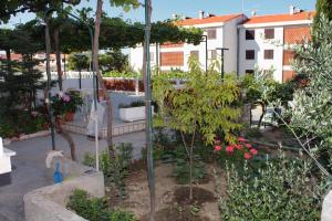 Zahrada ubytování Apartment Palit 5061a
