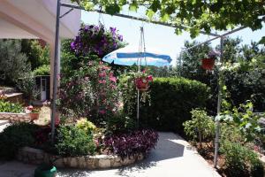 Zahrada ubytování Apartment Barbat 5070b